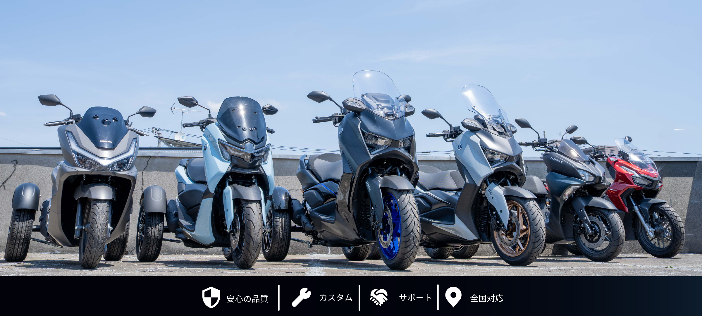 lineup
